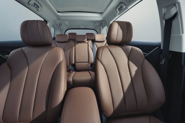 BYD M6