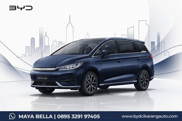 BYD M6