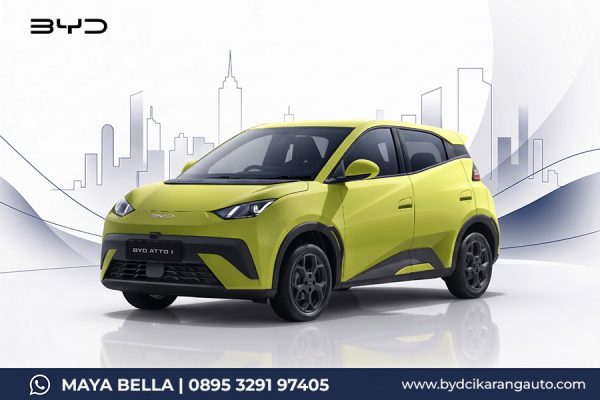 BYD ATTO 1