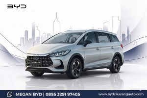 BYD M6 DM