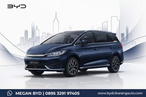 BYD M6